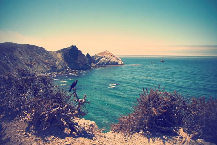 Drive Along the Coast